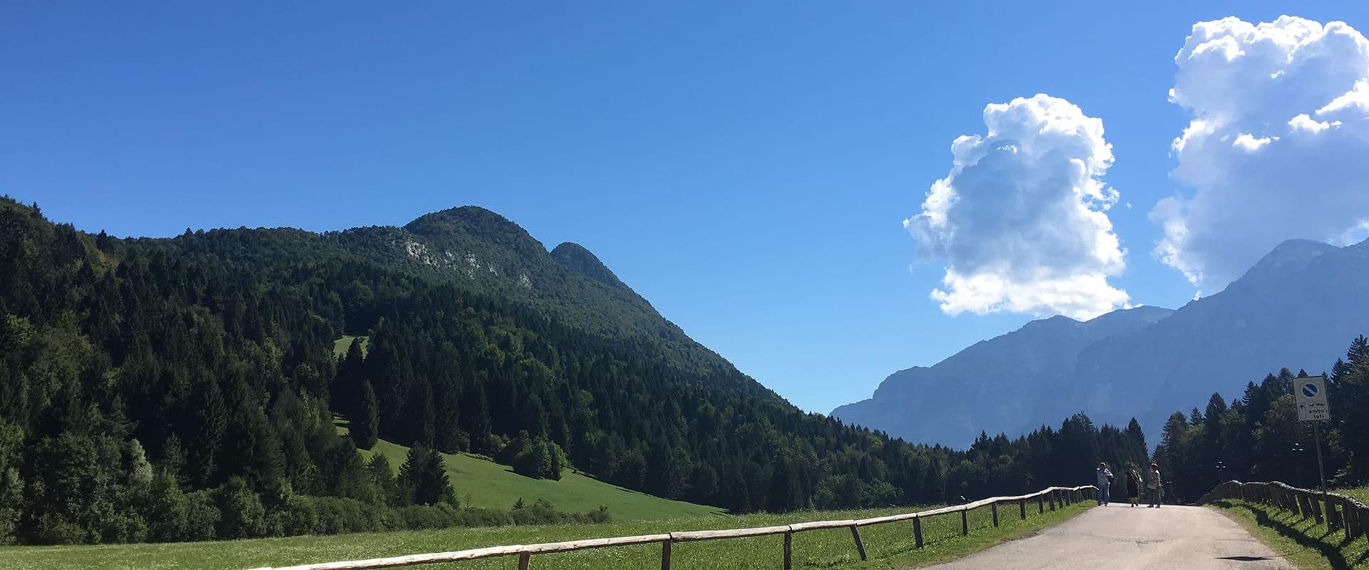Sentiero di montagna con alberi verdi e cielo azzurro, nuvole bianche in lontananza.