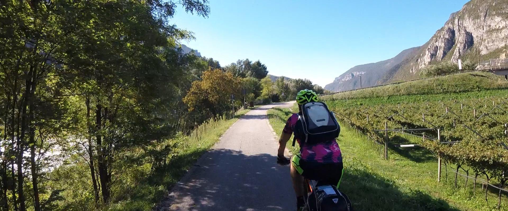 Ciclista su pista ciclabile tra vigneti e montagne in una giornata soleggiata.