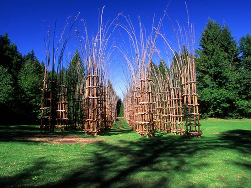 Installazione artistica con strutture di legno che formano un corridoio in un prato verde.