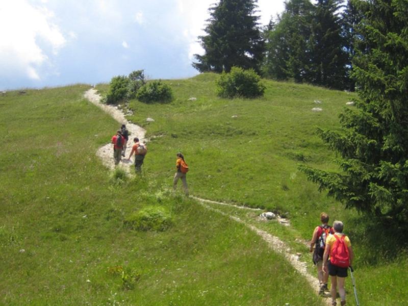 Escursionisti camminano su un sentiero di montagna immerso nel verde e alberi.