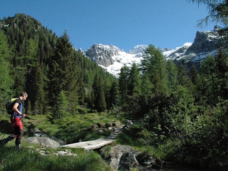 Escursionista attraversa foresta alpina con montagne innevate sullo sfondo.